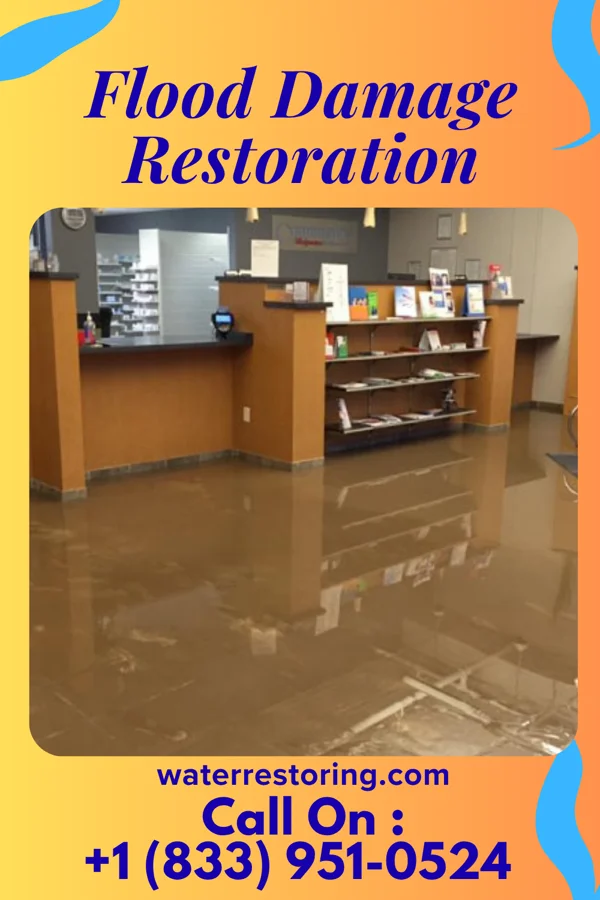Flood Damage Restoration in Sauk Village, IL