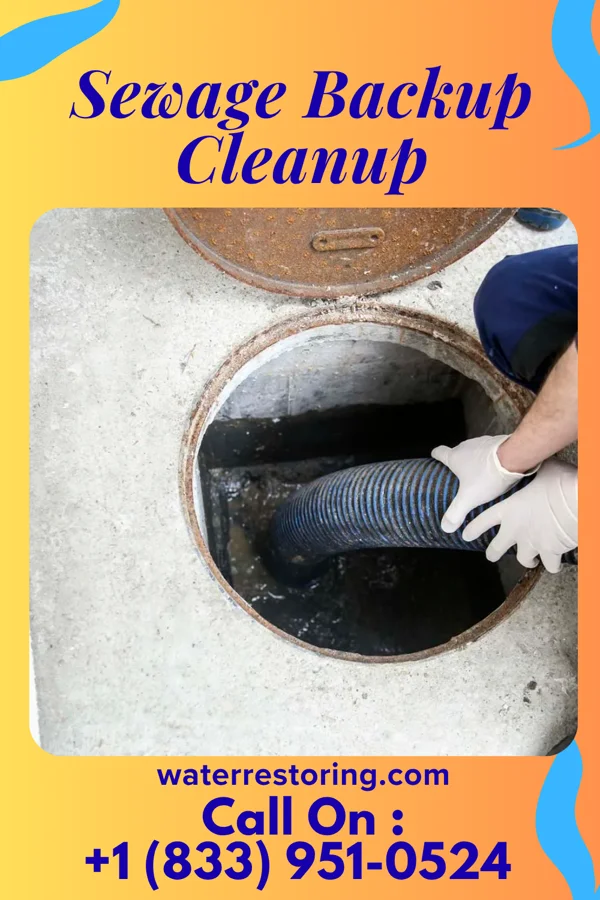 Sewage Backup Cleanup in Sauk Village, IL