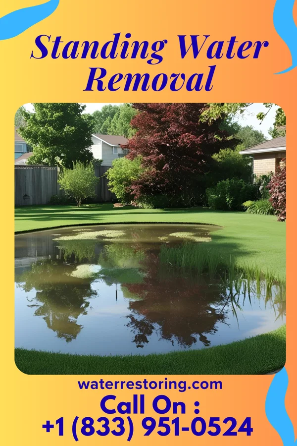 Standing Water Removal in Sauk Village, IL
